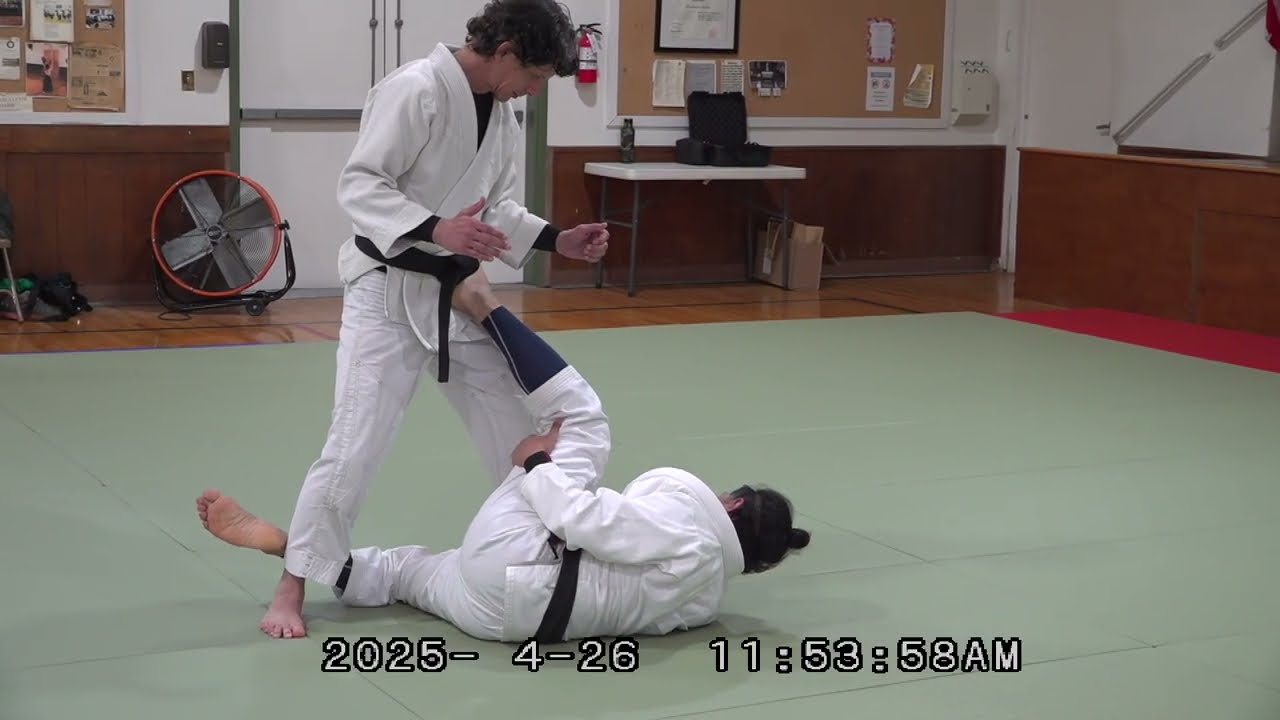 Bookman and Feliciano Sensei Aikido BJJ Seminar - A Modern Aikido Evolution