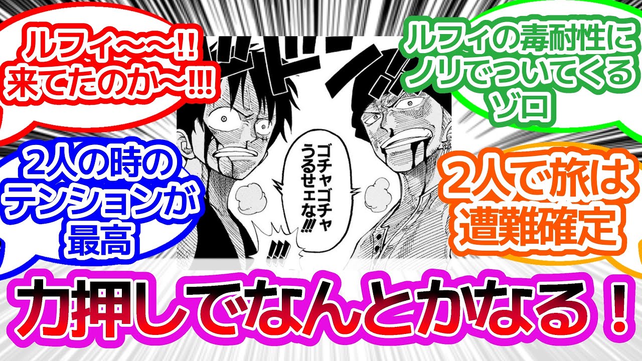 【ワンピース反応集】ルフィとゾロ、最強のふたりに対するみんなの反応集