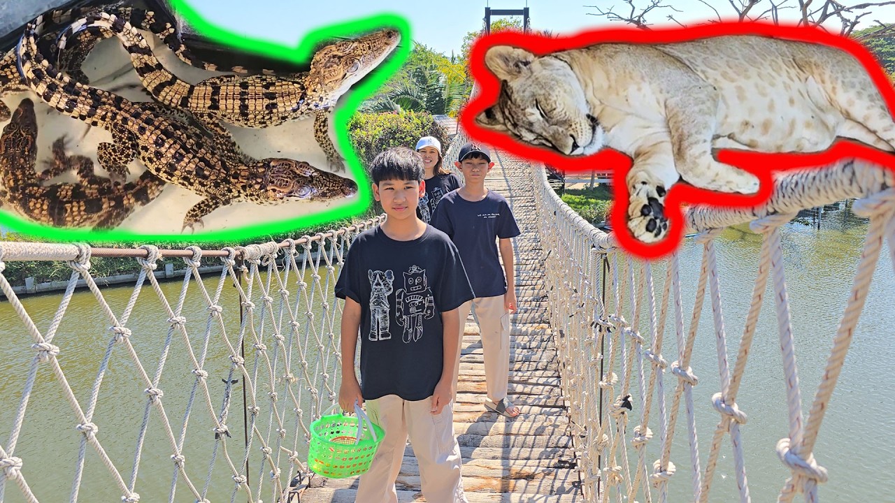 น้องบีม | เที่ยวเพชรบุรี มาลัยฟาร์มชะอำ ครั้งที่ 2 คลิปเต็ม