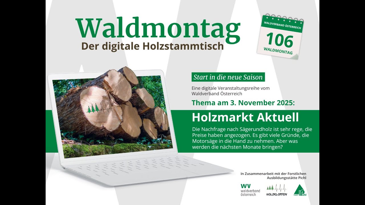 20251103_Holzmarkt aktuell