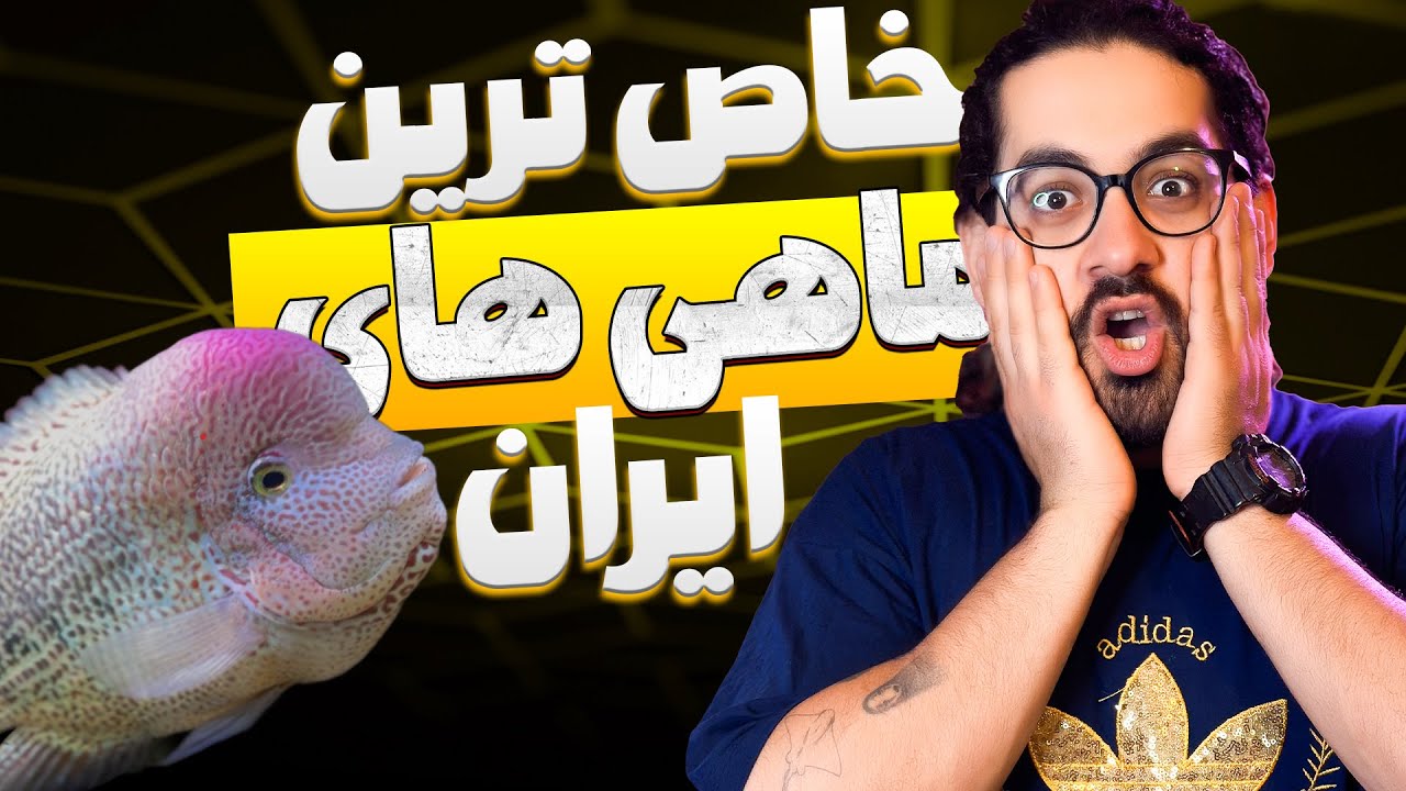 بازدید از یکی از بهترین مجموعه ماهی های زینتی ایران
