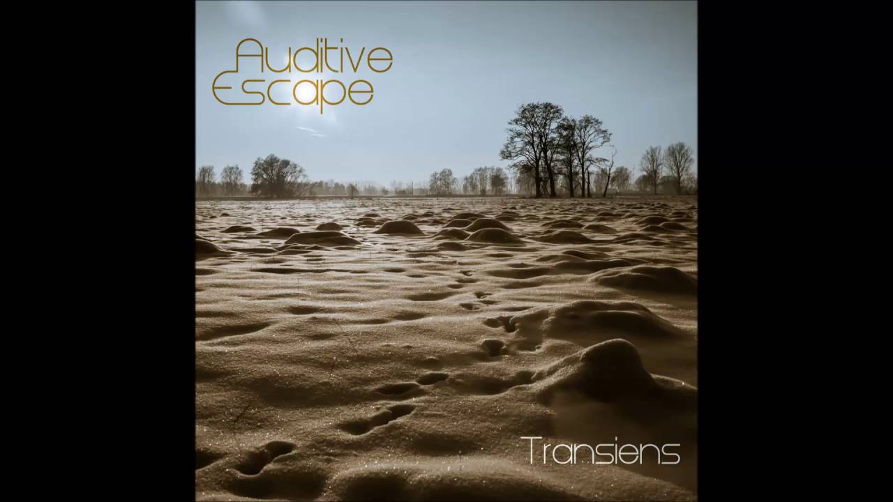 Auditive Escape - Transiens [Full Album]