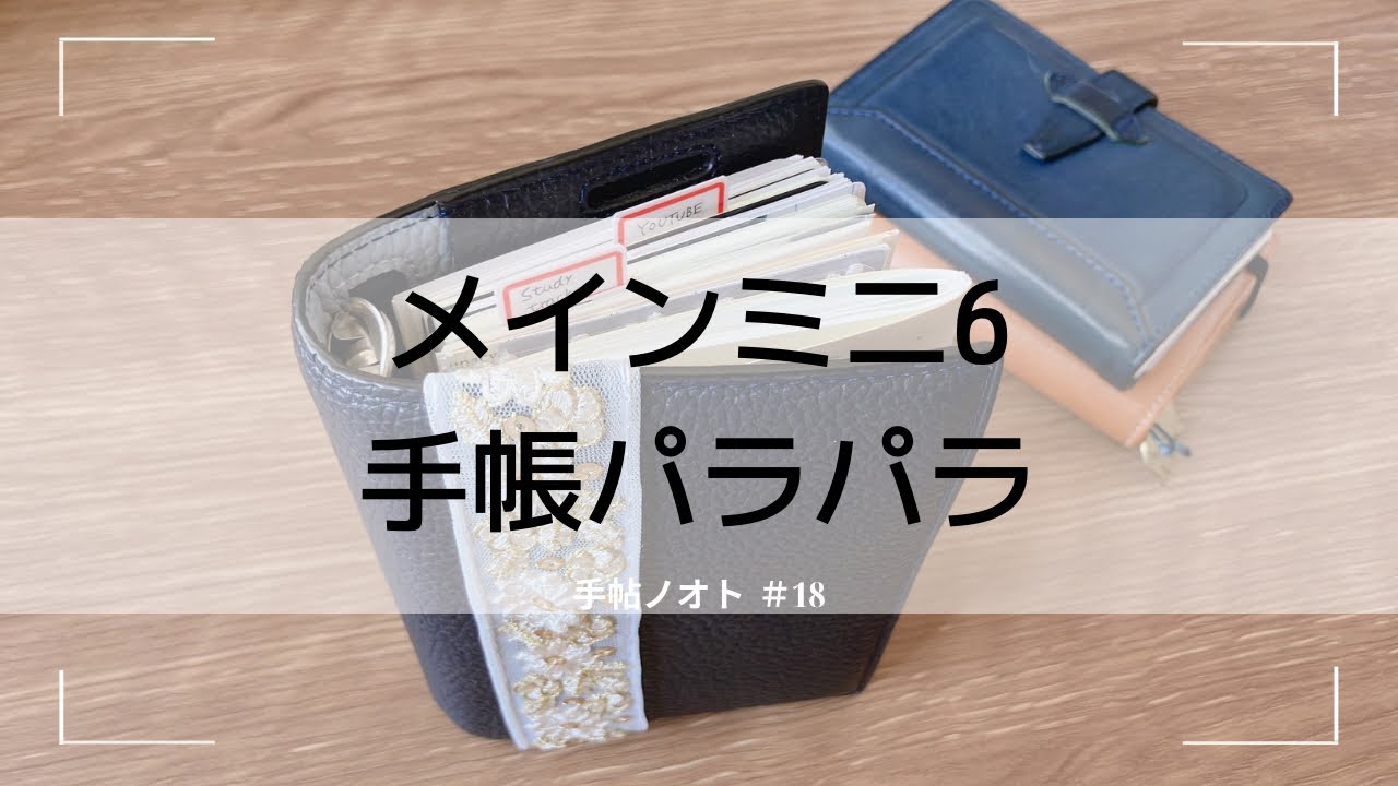 ＃１８【手帳パラパラ】メインで使ってるミニ6手帳パラパラ📖´-｜モルビドバーティカルベルト【声あり】