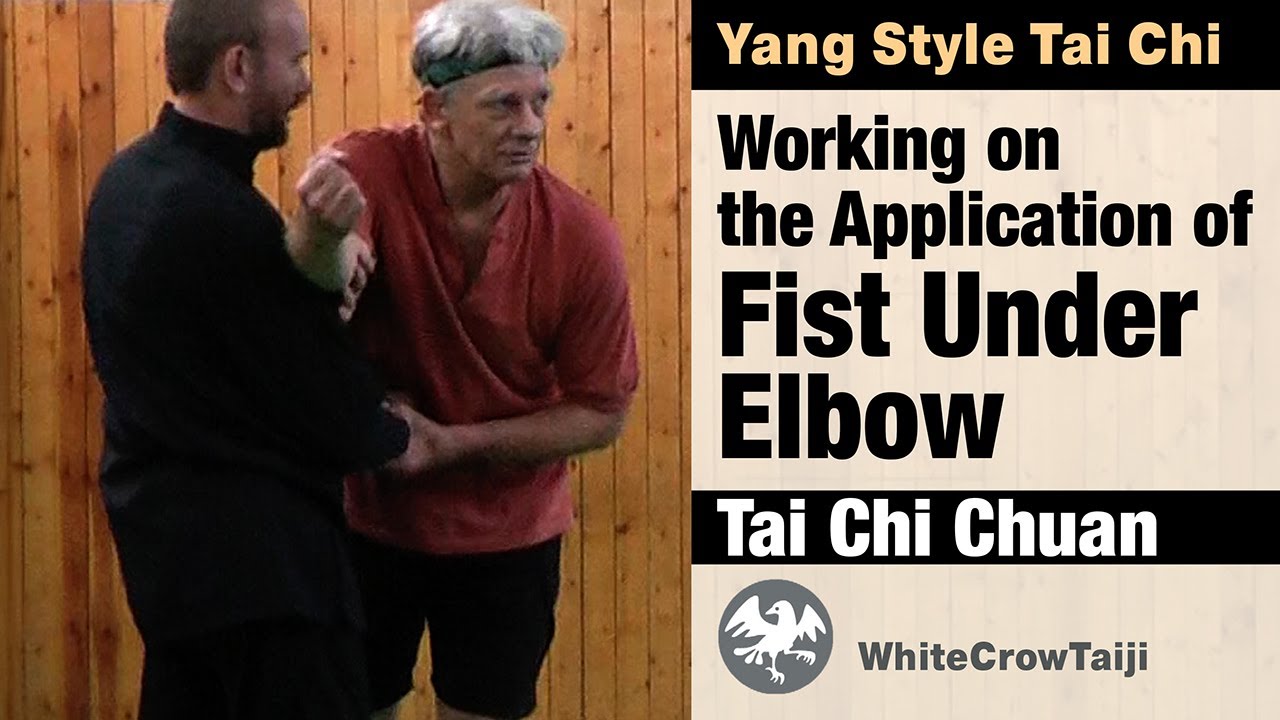 Tai Chi Solo Form Application: Working on the Application of Fist Under Elbow