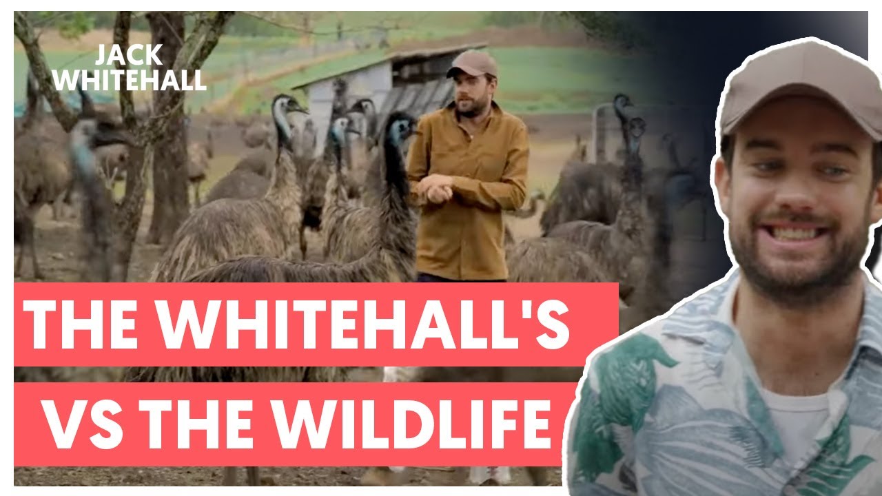 The Whitehalls vs The Wildlife | Jack Whitehall: Travels With My Father
