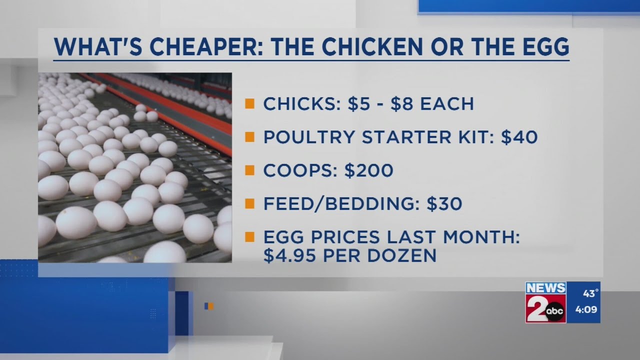 What&rsquo;s cheaper in the US: the chicken or the egg?