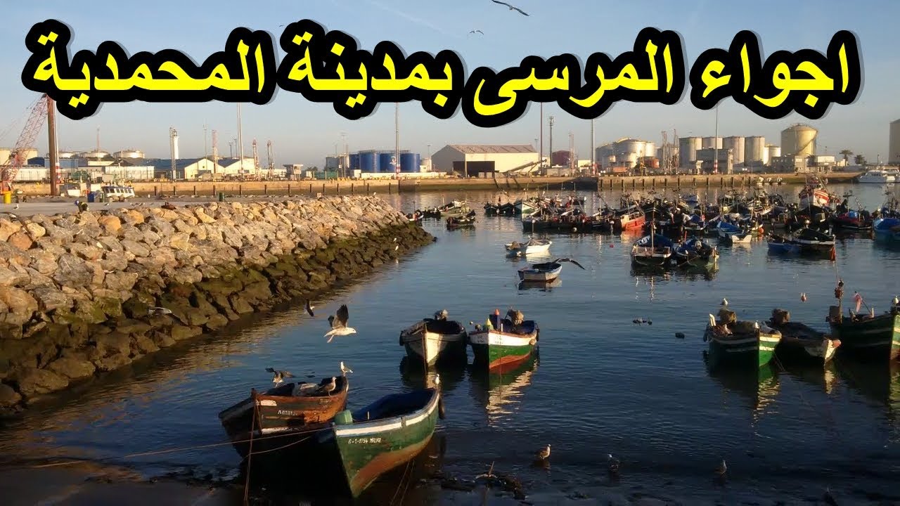 دويرة خفيفة بمرسى للصيد البحري بالمحمدية