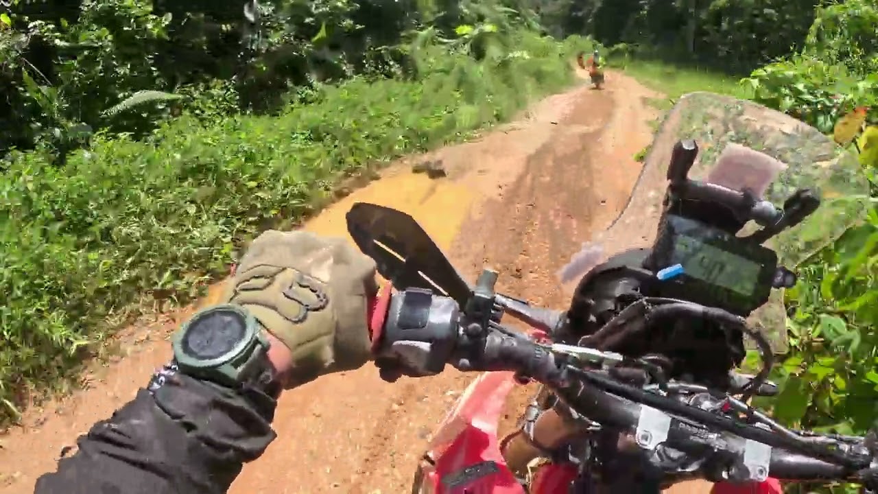 Dari tempat turun sawit menuju puncak Matau
