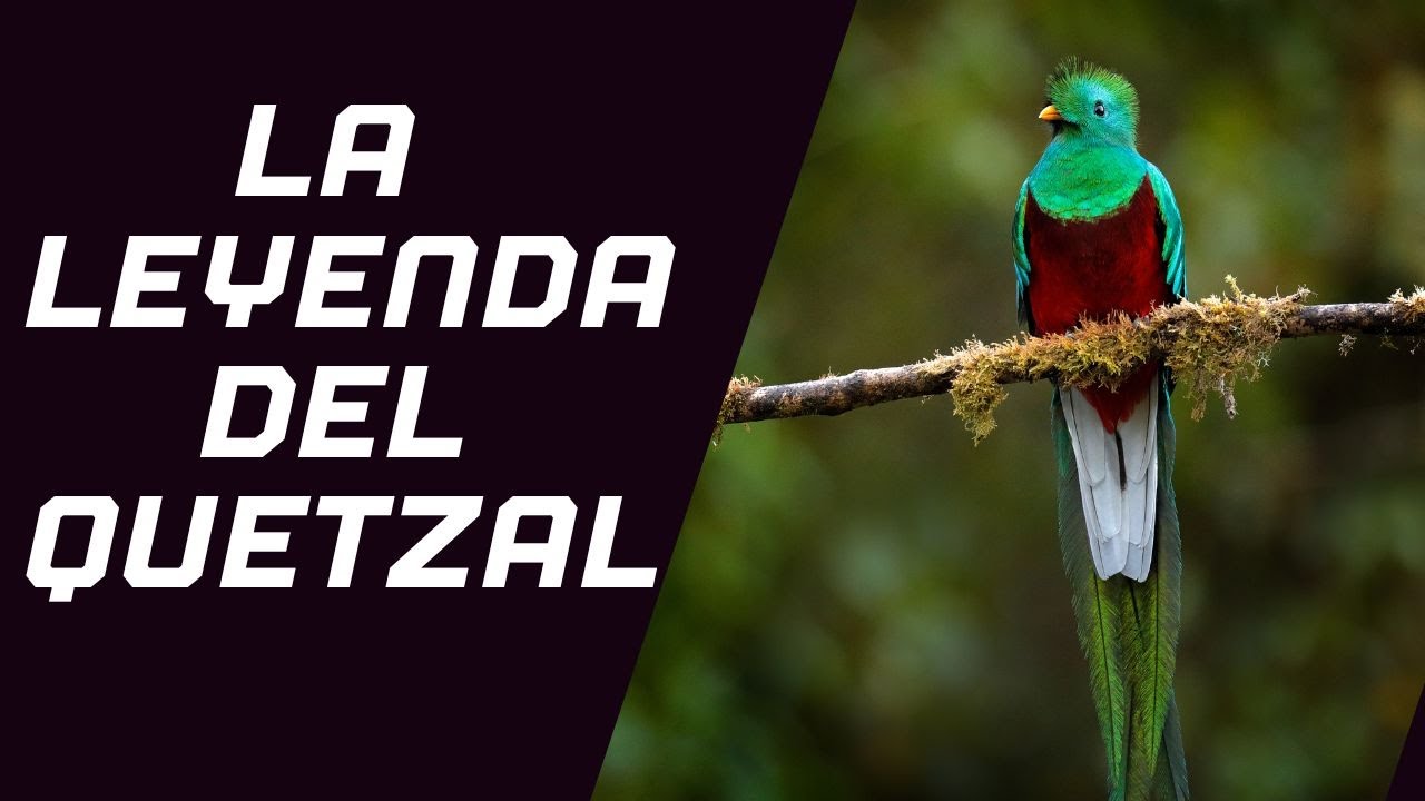 La Leyenda del Quetzal Resplandeciente