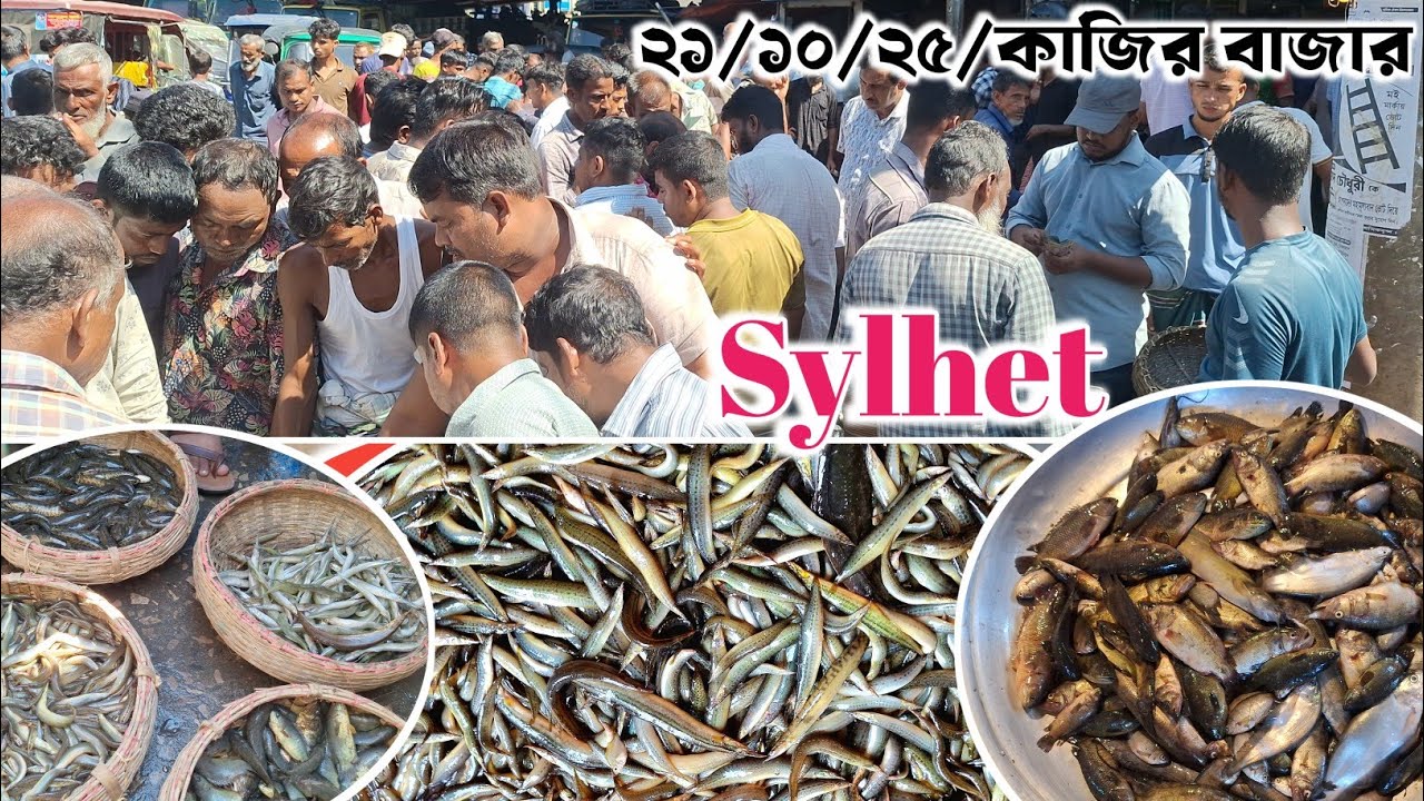 Kazir Bazar Sylhet | আজ প্রচুর দেশি মাছ এসেছে || Sylhet Bazar Vlogs