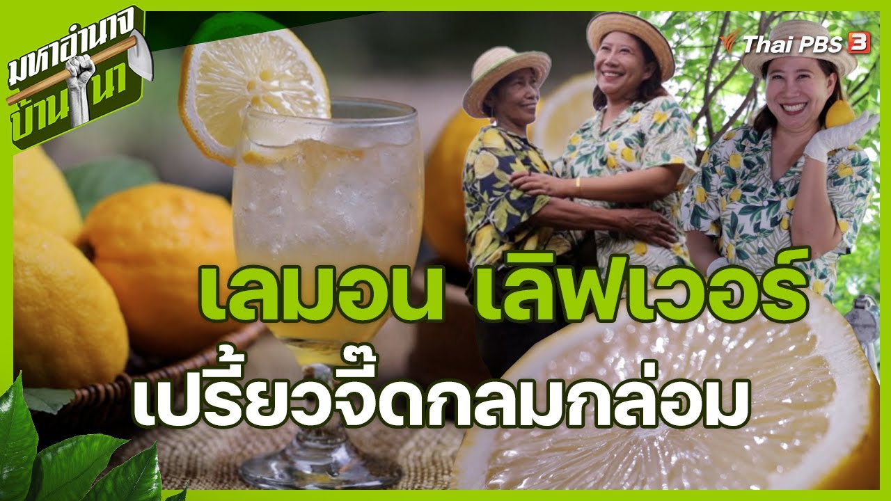 เลมอน เลิฟเวอร์ เปรี้ยวจี๊ดกลมกล่อม | มหาอำนาจบ้านนา