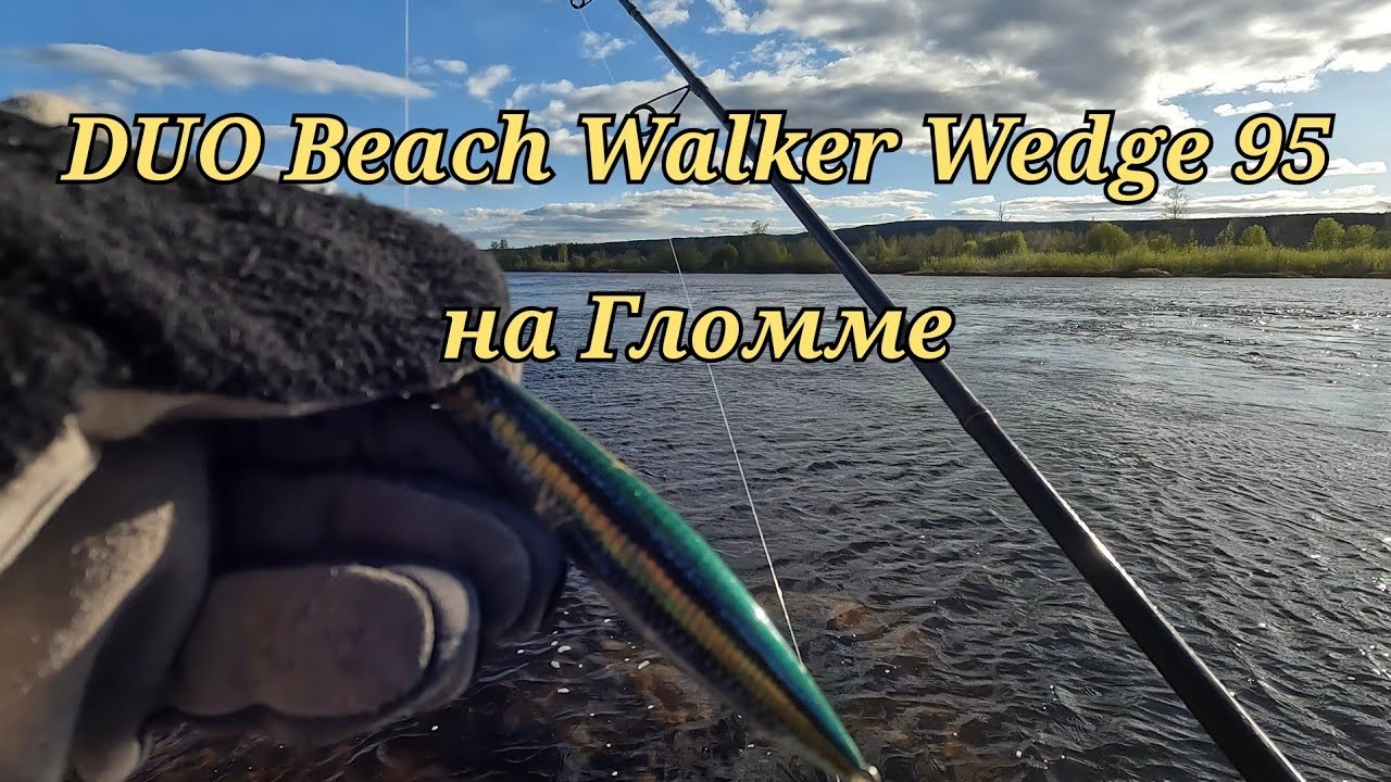 Рискнул тем, чего другие боятся — и не зря! DUO Wedge 95 в деле на Гломме в Норвегии.