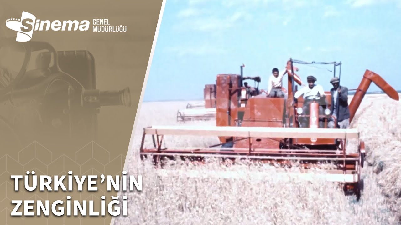 Yurdumuzu Tanıyalım: Çukurova’nın Bereketli Toprakları