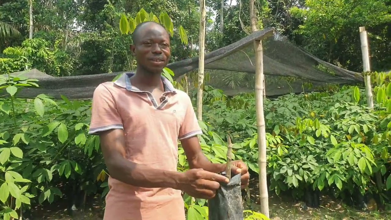 Young Man with 30 Acres of Rubber Plantation in  Ghana