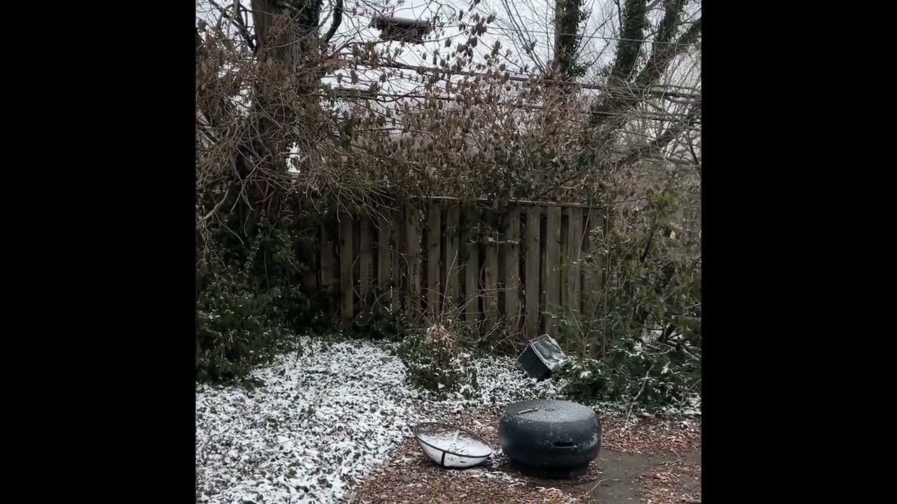 February 22, 2026 before and after noise comparison. 