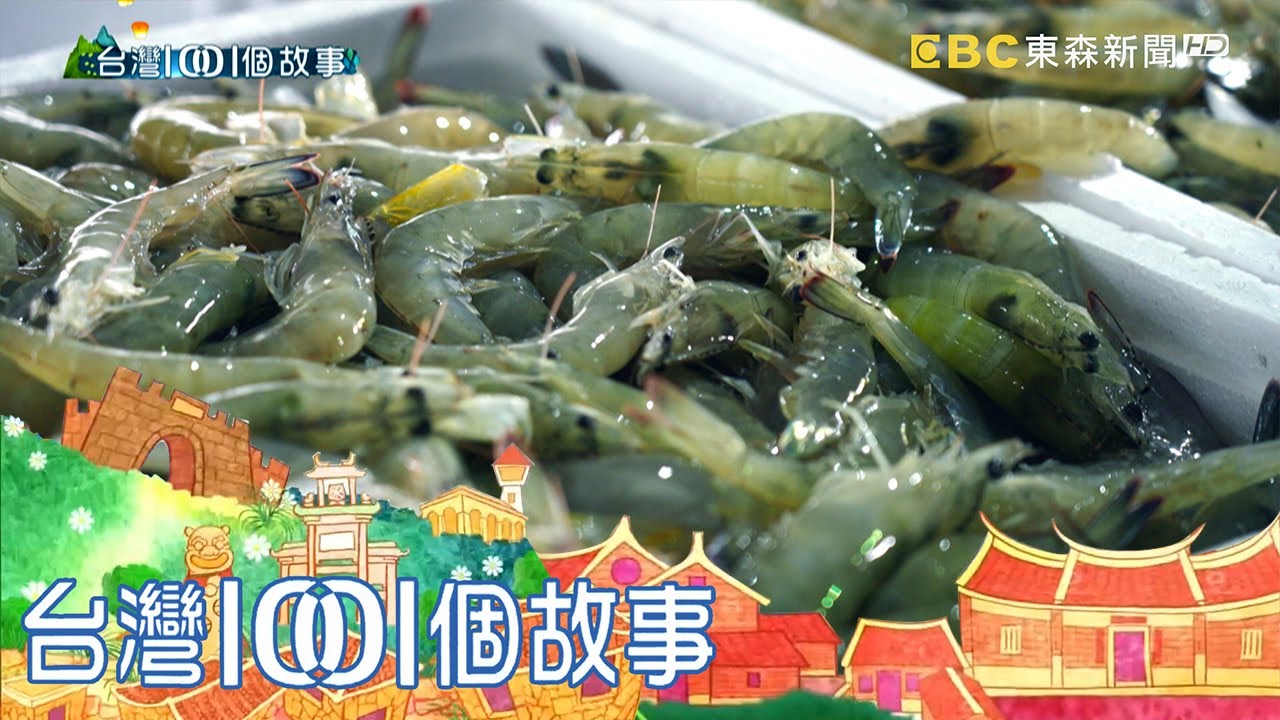 七年級兄弟檔屏東養蝦 苦拚六年高密度專養有成 part6 台灣1001個故事｜白心儀