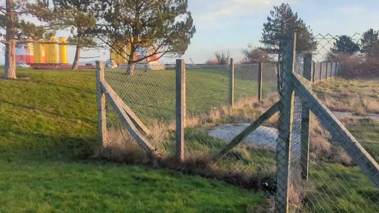 Walk at Western Harbour Ponds