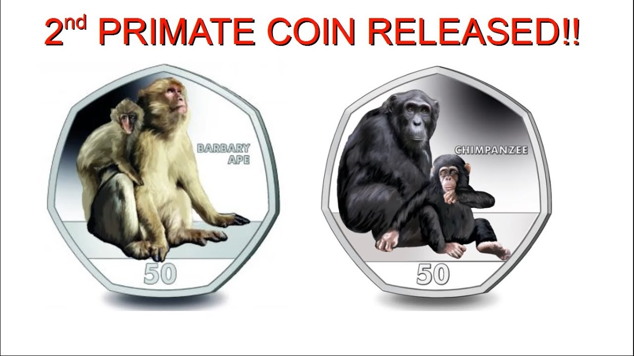*COIN NEWS* || 2018 CHIMPANZEE 50p NOW AVAILABLE || POBJOY MINT || 2018 VIDEO