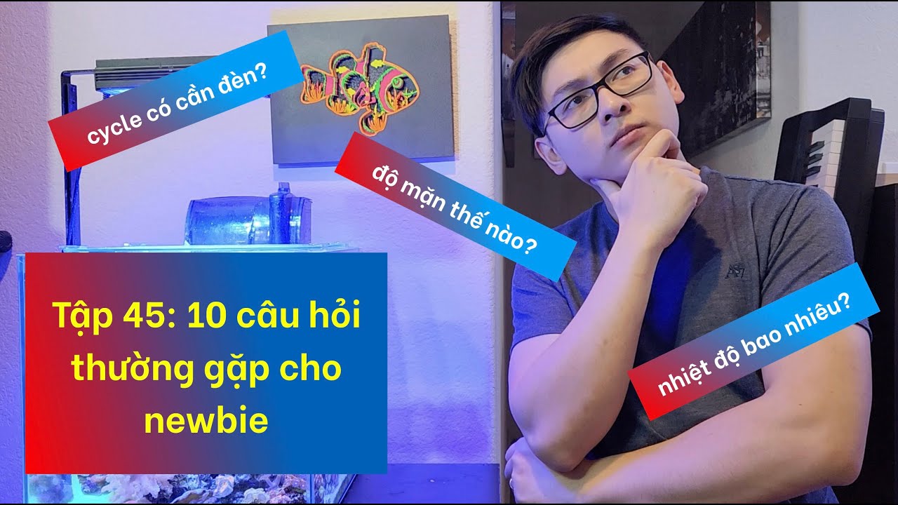 Tap 45: 10 câu hỏi thường gặp cho newbie
