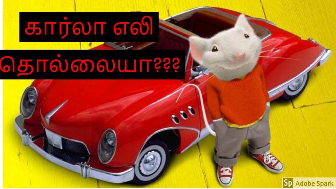 How to stop RAT entries in your CAR ? | Tamil | 6MW | Aspire | FORD | NO ENTRY
