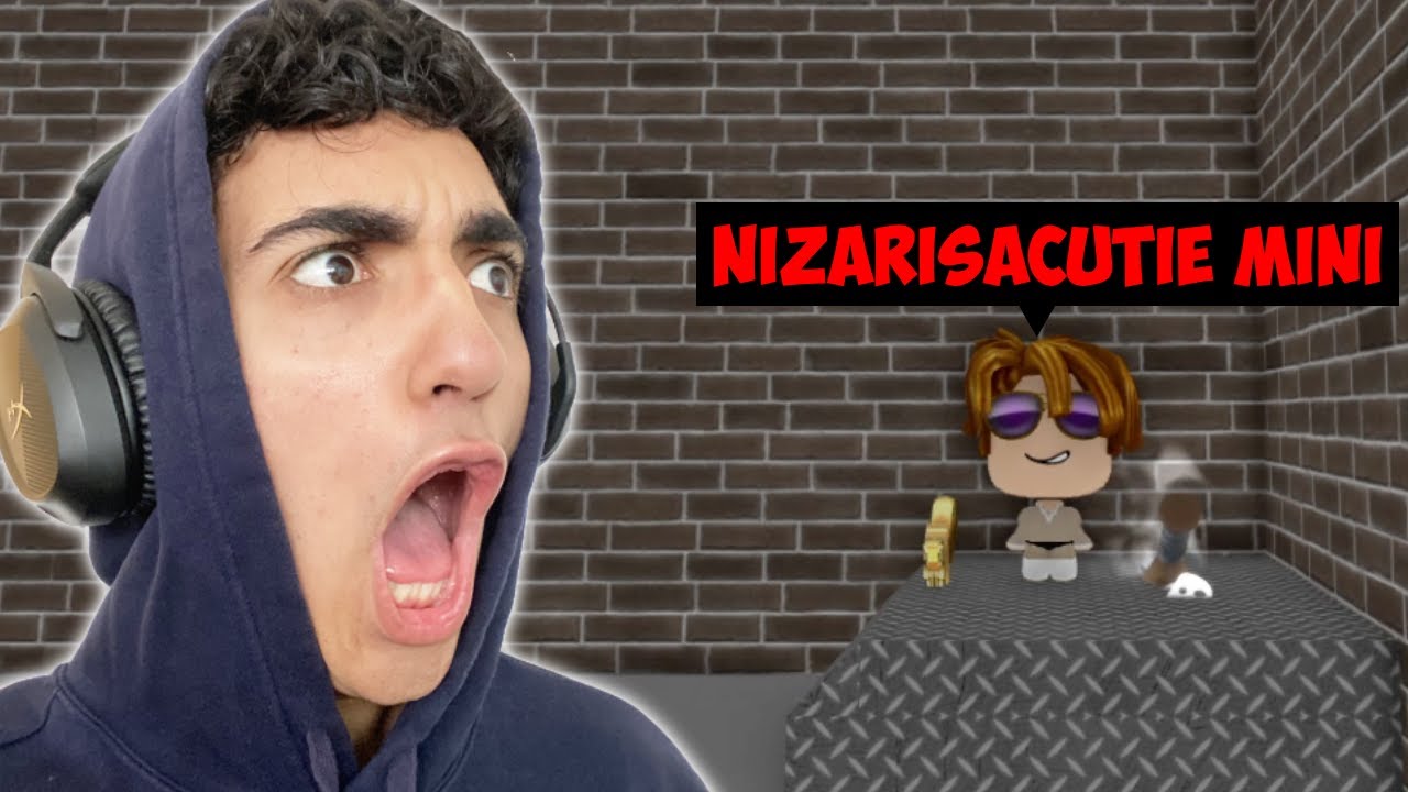 Playing MM2 But, I'm A MINI Avatar! (Murder Mystery 2)