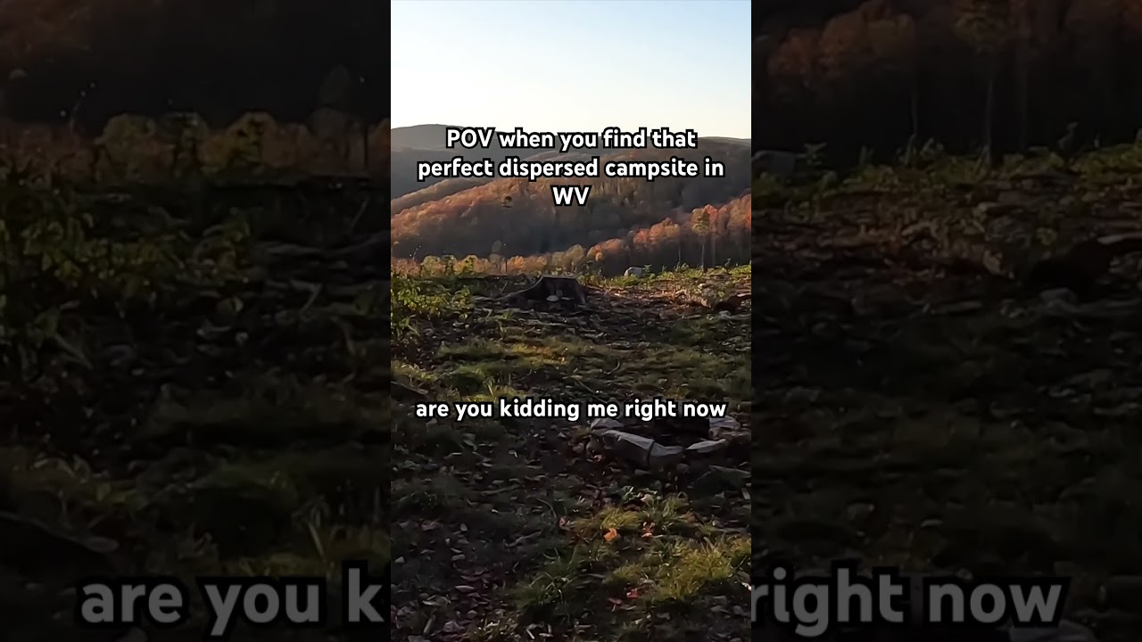 Free dispersed camping in WV! #dispersedcamping #overlanding #westvirginia