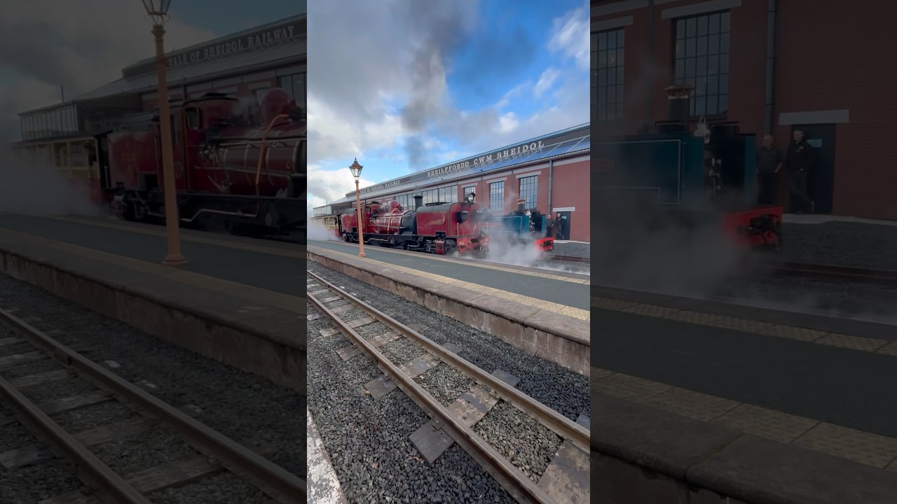 No 60 at VoR Steam Festival - Vale of Rheidol Welsh narrow preserved railway October 2025
