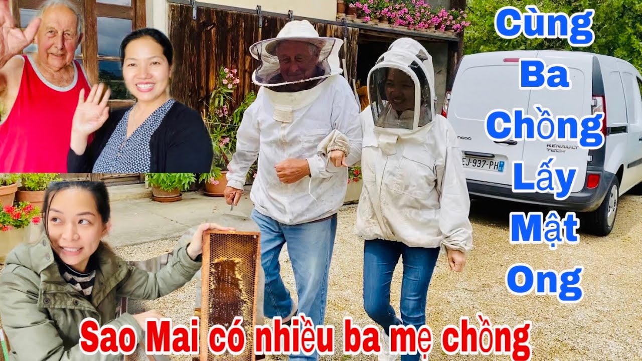 TRẢ LỜI THẮC MẮC CỦA FANS/BA CHỒNG LẤY MẬT ONG Ở PHÁP/MAI LE CUỘC SỐNG Ở PHÁP 🇫🇷