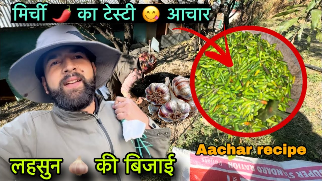 घर में बनाया मिर्ची 🌶️ का बहुत टेस्टी आचार || Homemade aachar ||  Pahadi lifestyle vlog || RB 