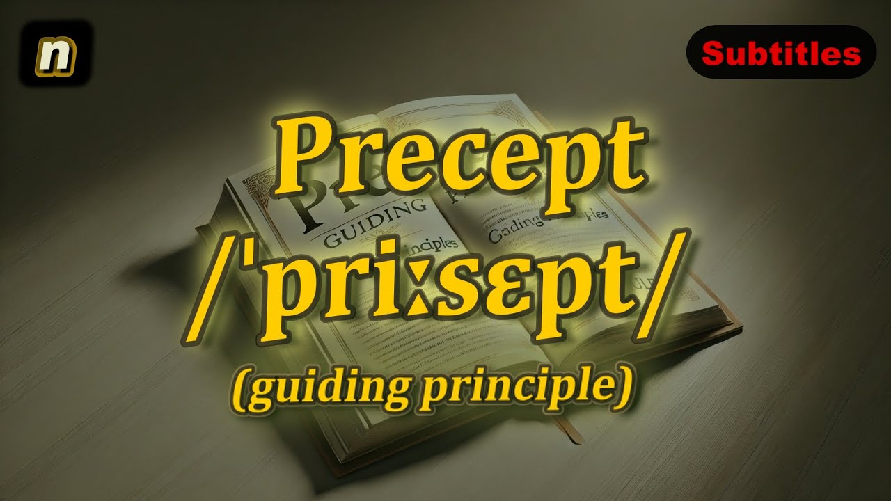 [n] Precept meaning (guiding principle) with 5 examples