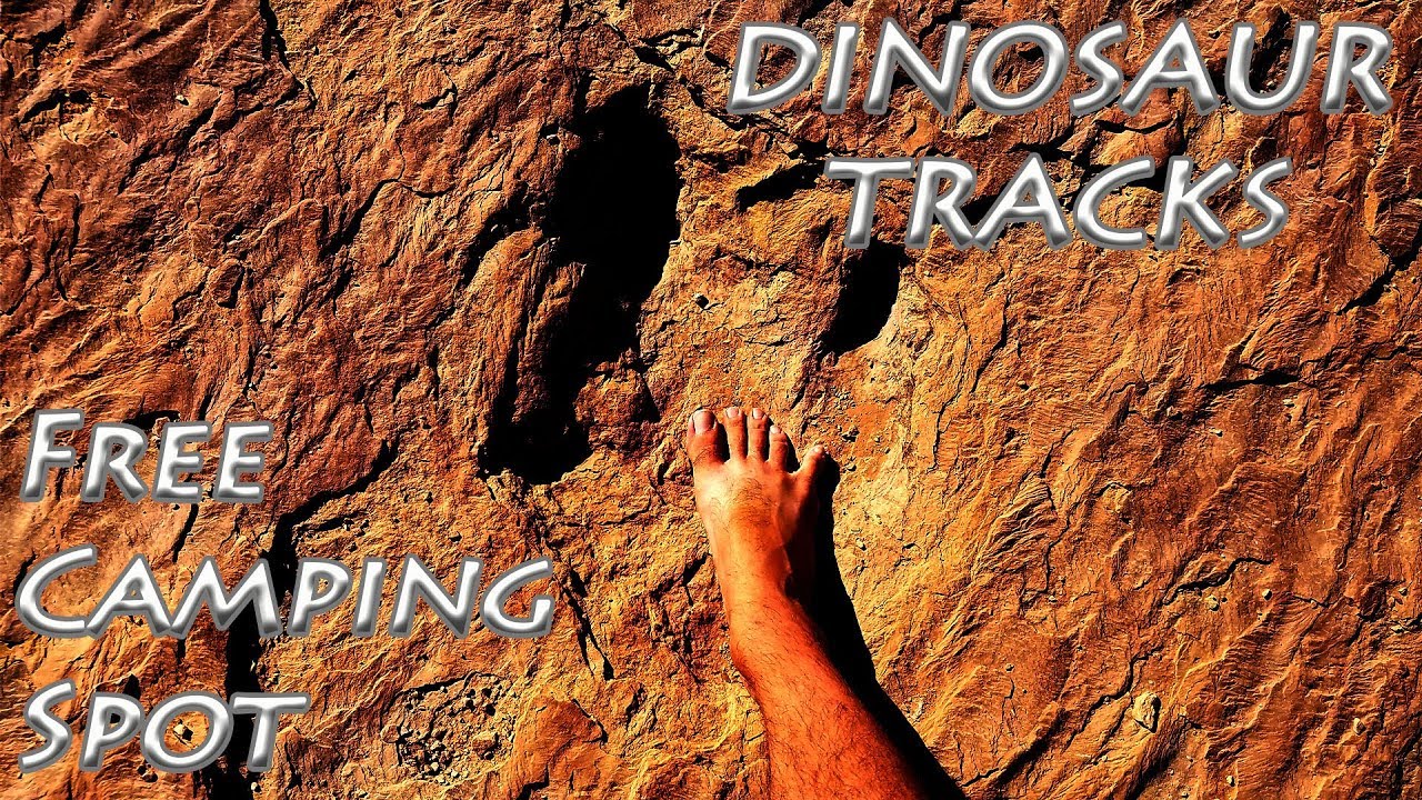 Free Camping at Moab Dinosaur Tracks ~ Morning Video