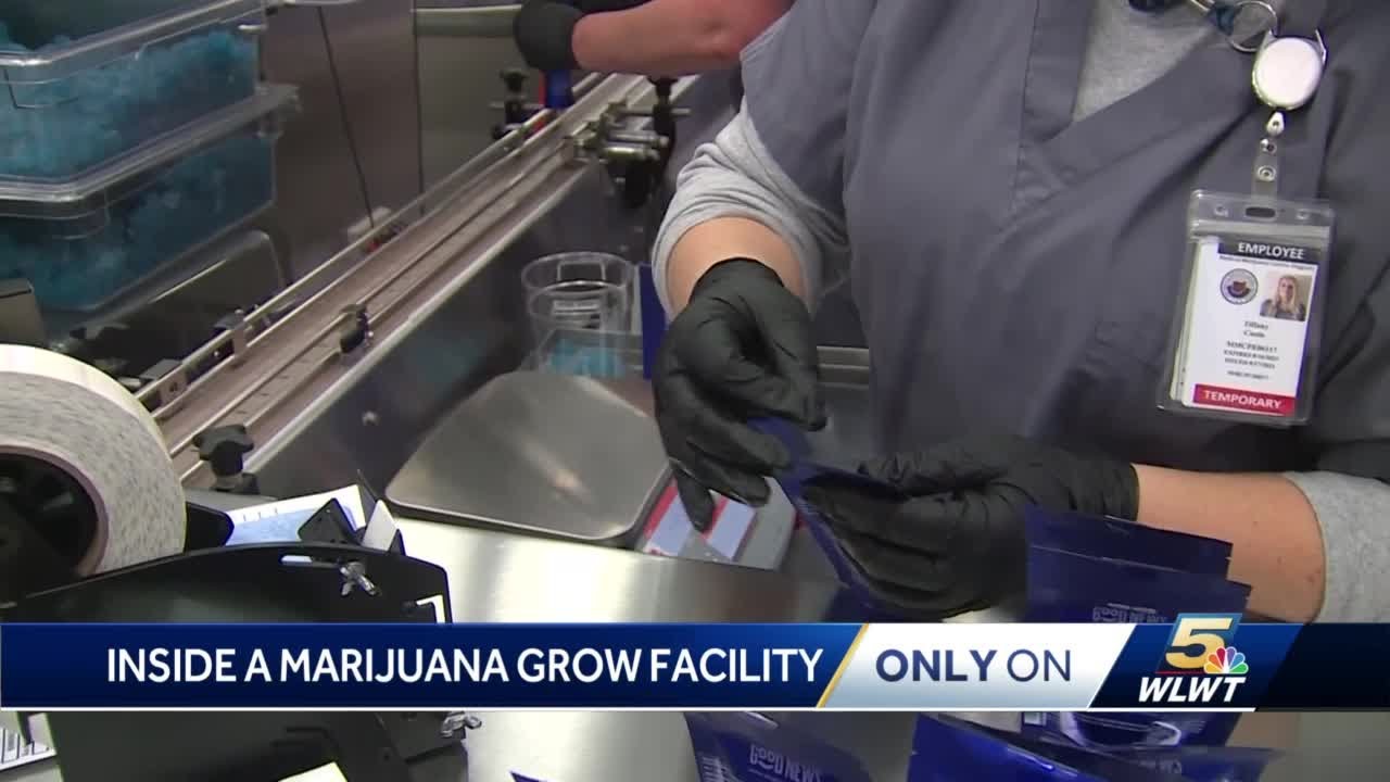 Inside a marijuana grow facility in Ohio
