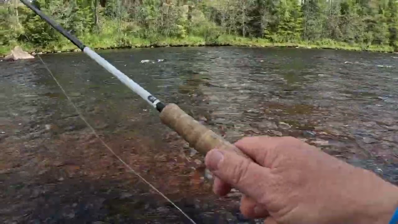 Roligt fiske i stöten Juni 25