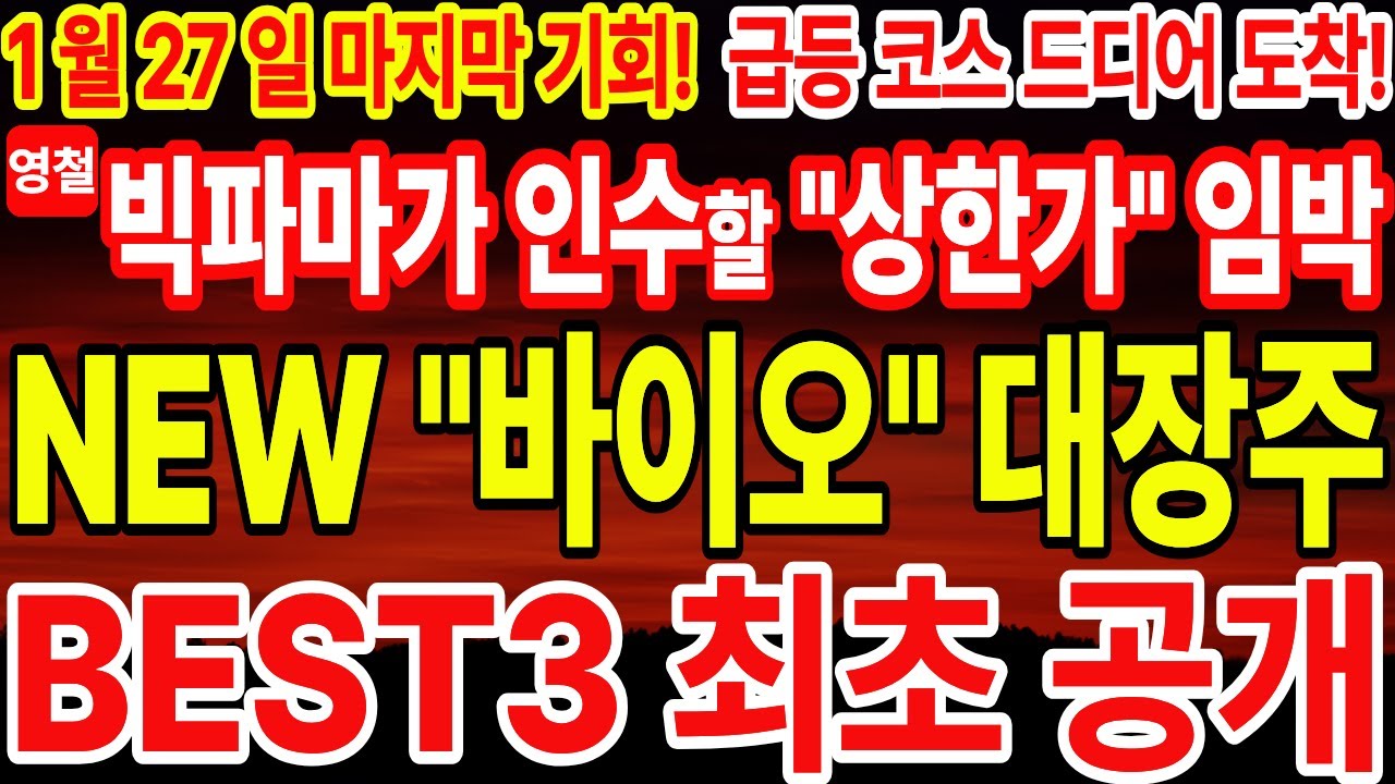 [주식] NEW 