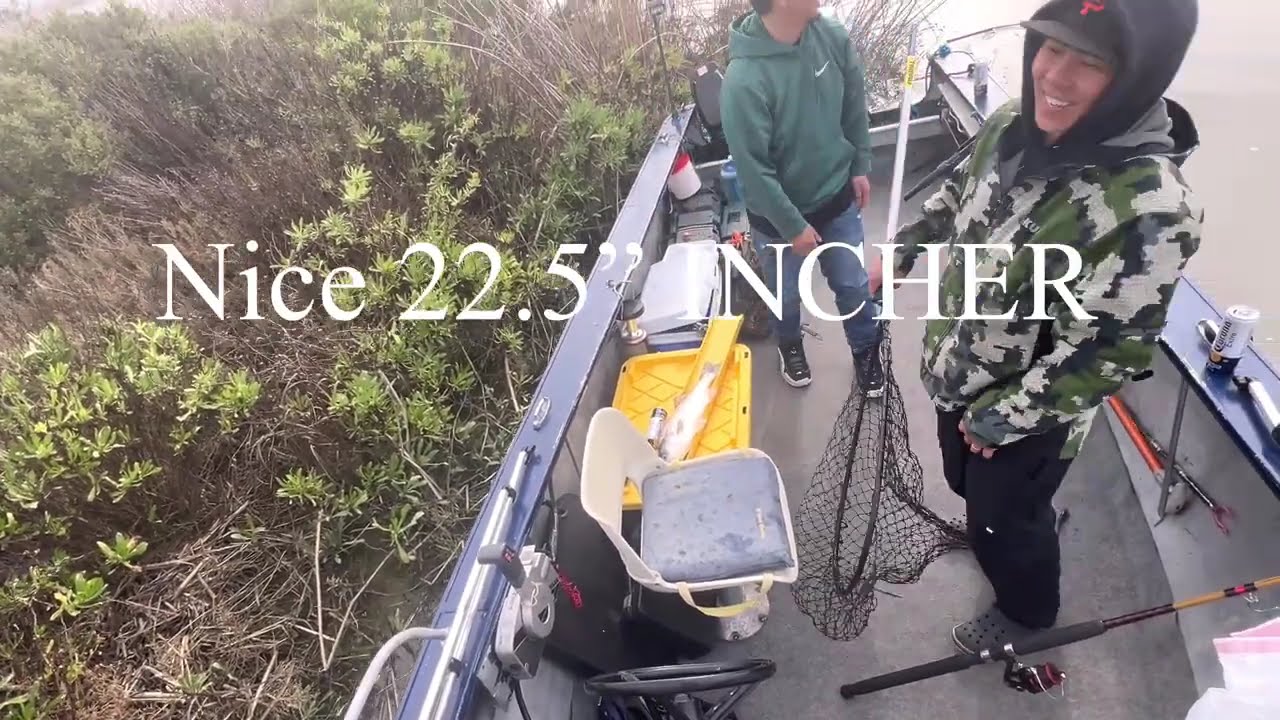 All keepers-striper catch and cook- missing all the hook set. Horrible 