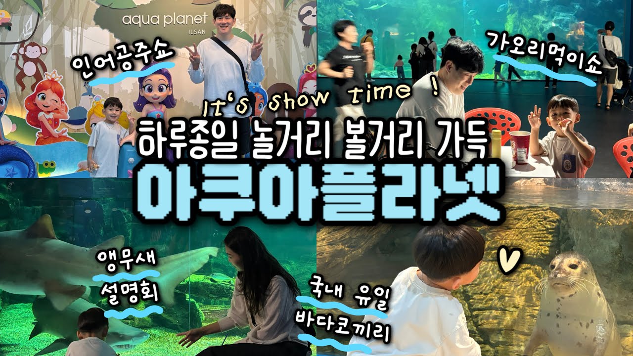 아쿠아플라넷 일산 l 고양 아이랑 실내 가볼만한곳 아쿠아리움 공연 정보