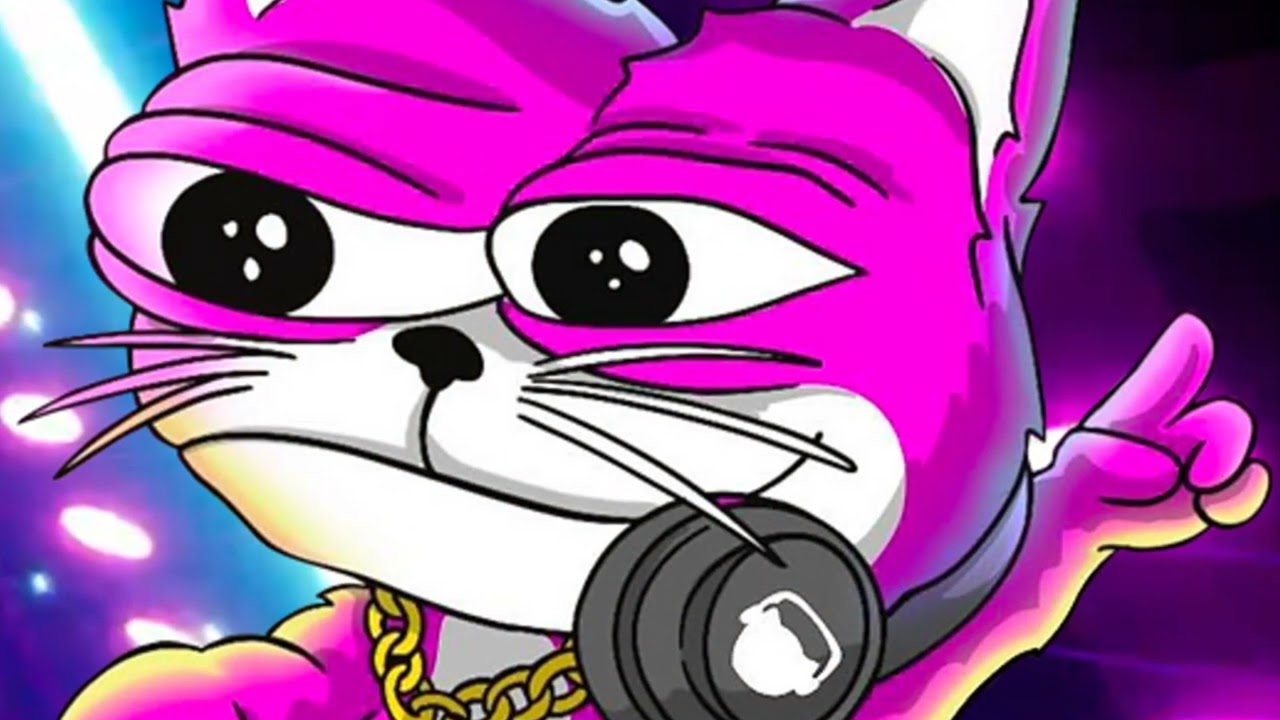 DubCat  The Ultimate Crypto Party Cat!