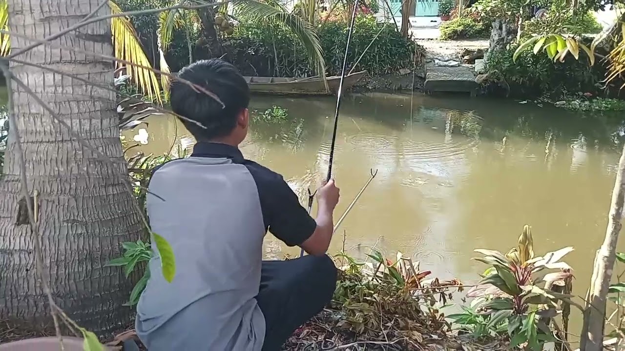 Chieu con trai e duoc nghi ra song cau ca