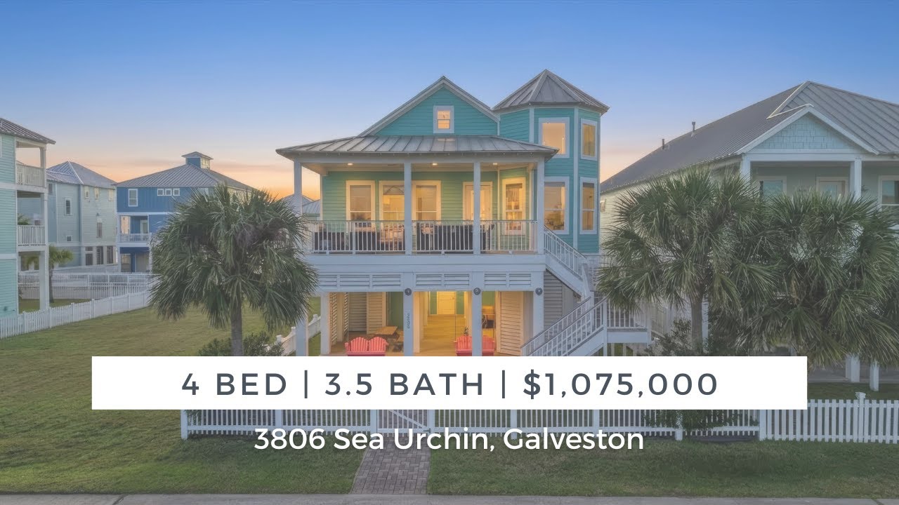 3806 Sea Urchin, Galveston