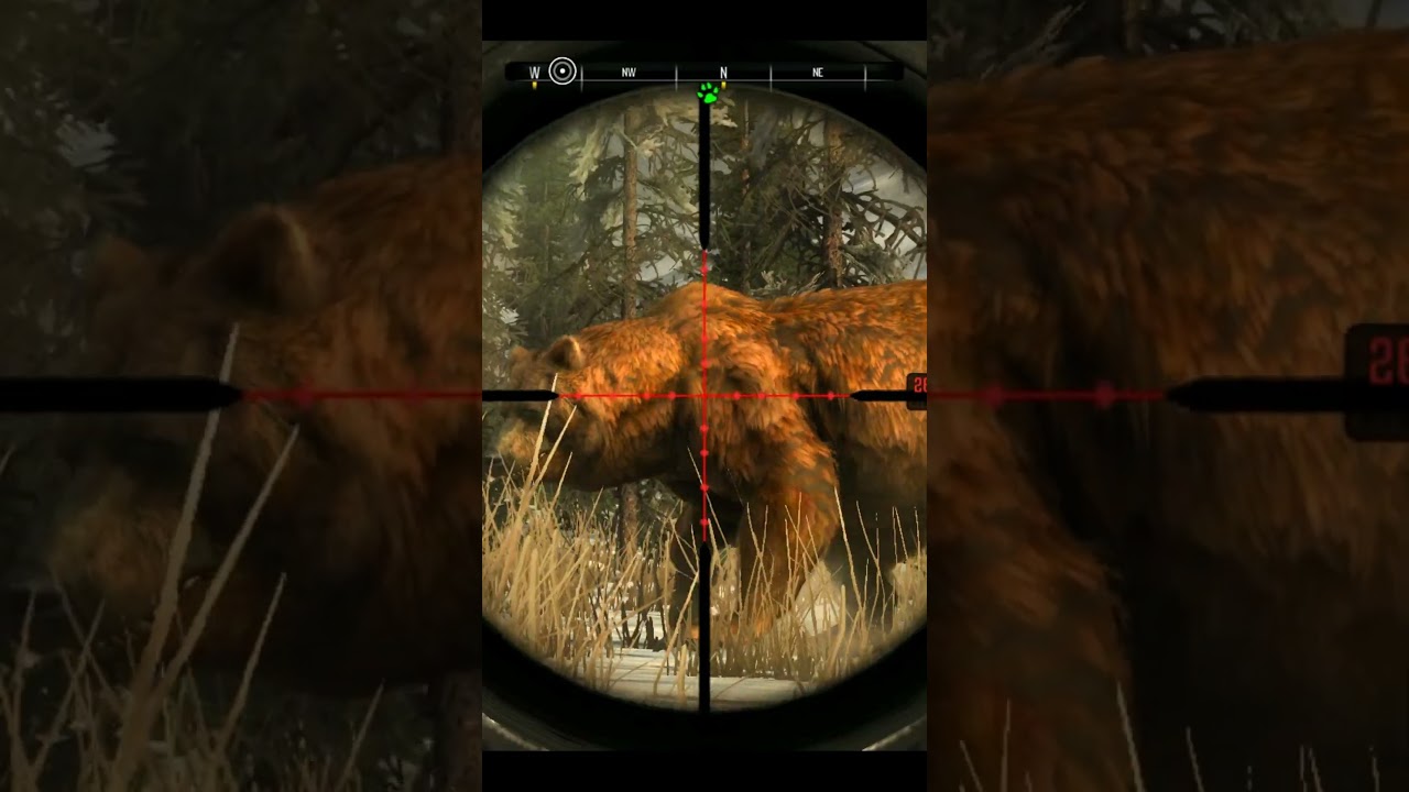 Grizzly Bear Attack On Me - Cabela's Big Game Hunter Pro Hunts 2014 - #shorts #viral #hunting