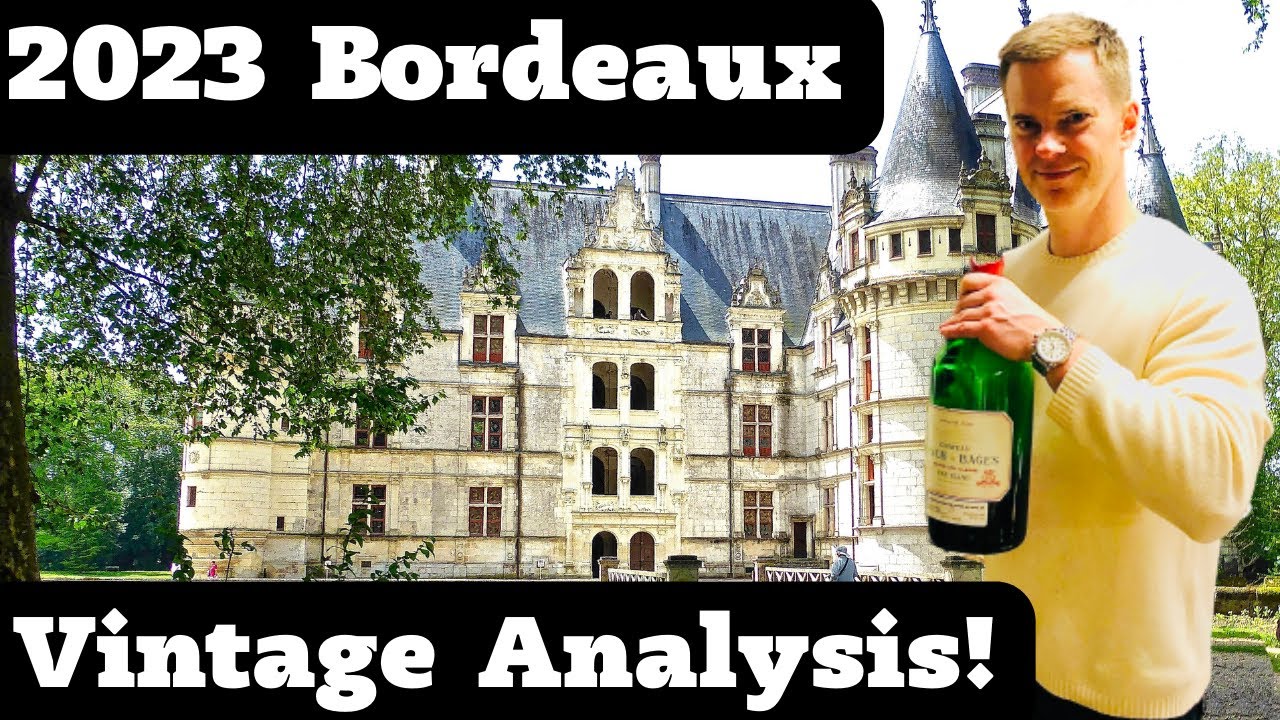The 2023 BORDEAUX Vintage Explained: What You Need to Know