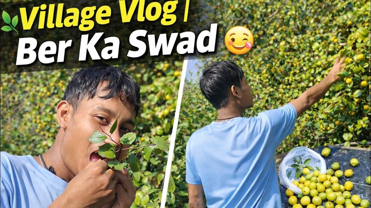 Ber ka swad//new village vlog// Welcome in my BB VLOG 