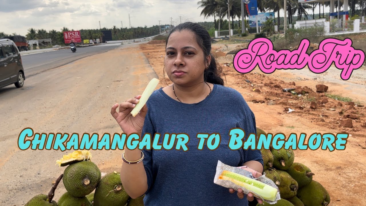 Chikkamagalur to Bangalore EP 03 #roadtrip2023 #travel #bangalore #karnataka #karnatakatourism