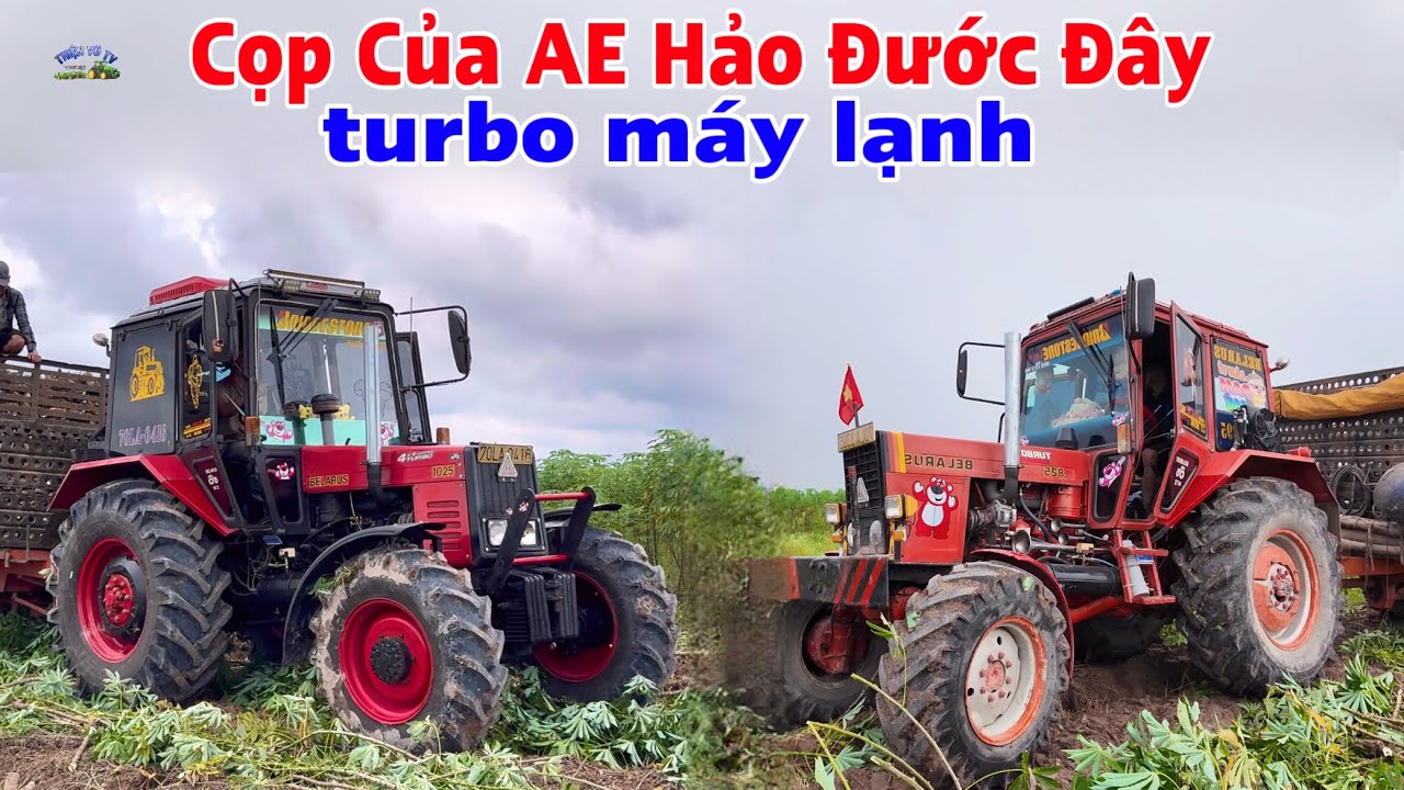 2 siêu phẩm của anh em hảo đước châu thành tây ninh chở củ mì ruộng cuối vụ
