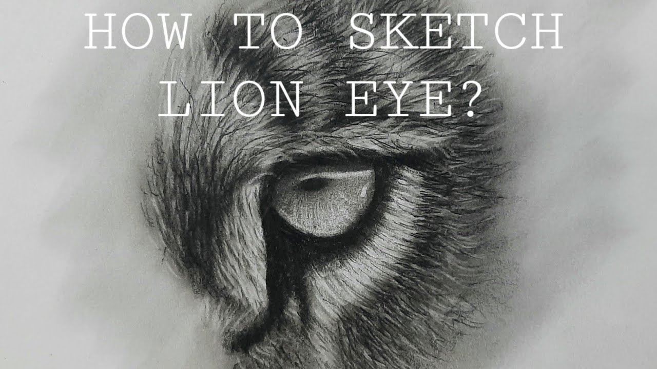 How to sketch Lion Eye? | Lion eye sketch | Lion hair sketch Tutorial