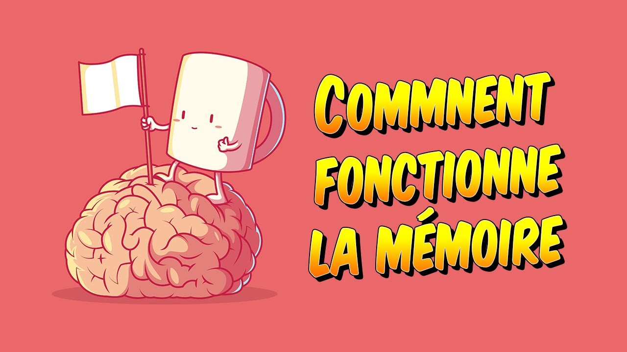Psychologie - Comment fonctionne la mémoire