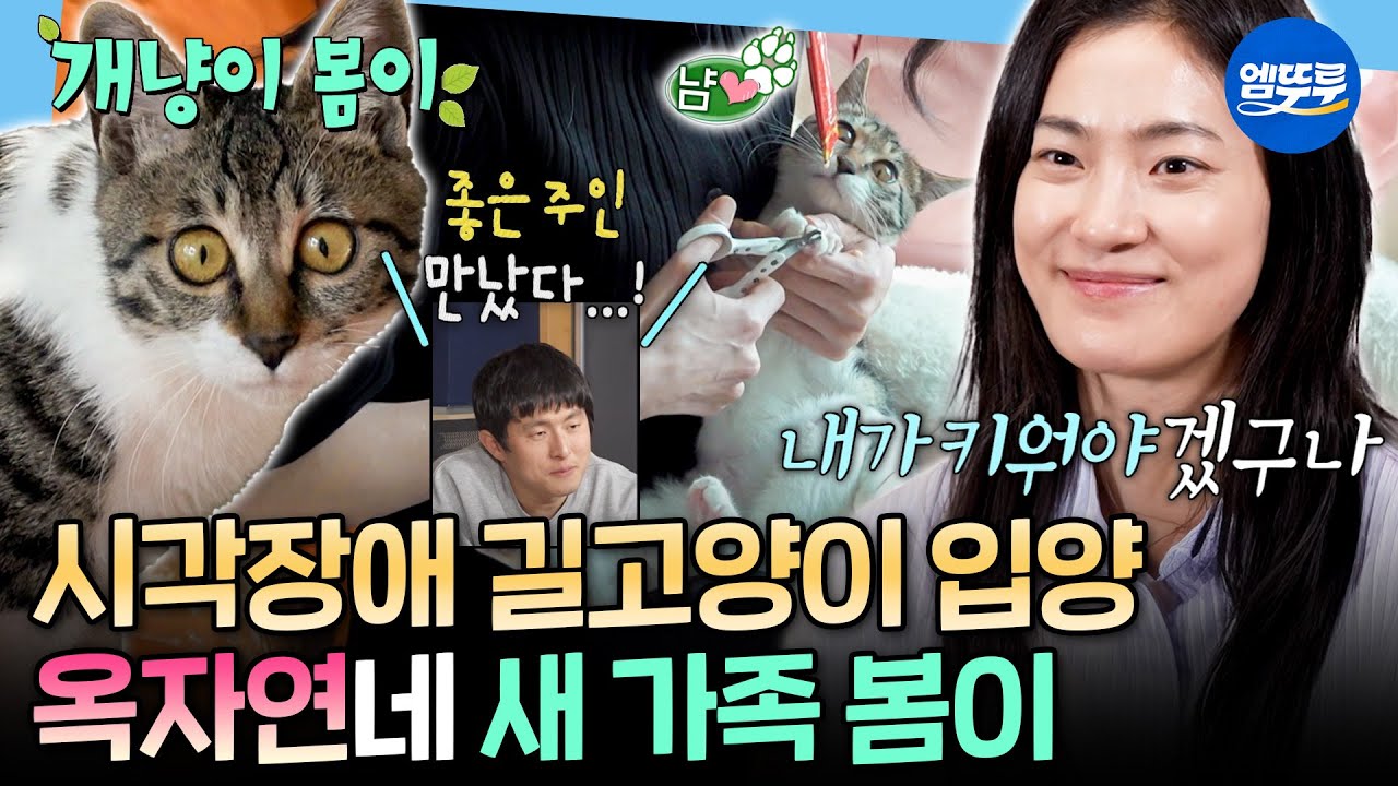 [나혼자산다] 생일날 운명처럼 찾아온 봄이🐱 새로운 반려묘와 함께 살게 된 냥집사 옥자연ㅣ#옥자연 MBC260213방송