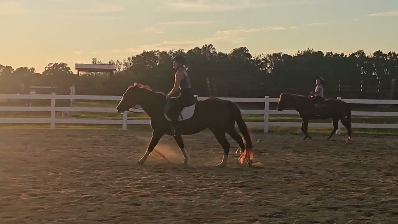 2025 show 5 Bella bowen and Wendell open hunter under saddle 