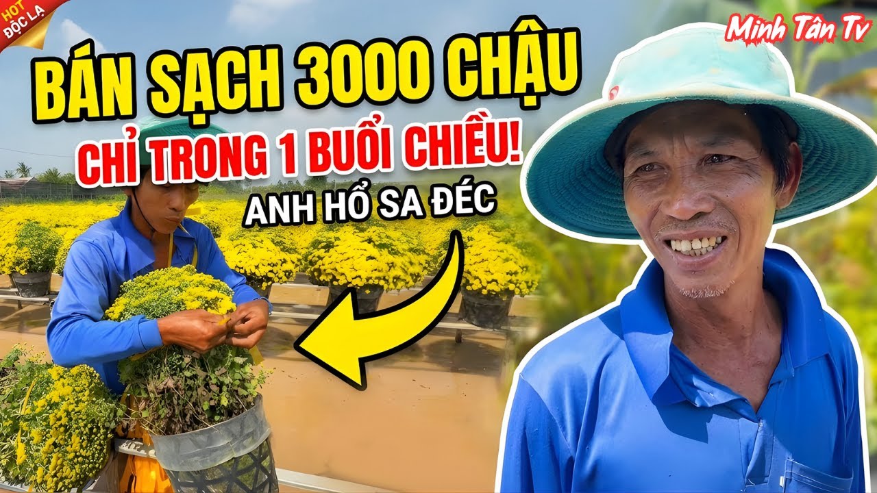 Ngạc Nhiên Anh Hổ Sa Đéc Chỉ Trong Một Buổi Chiều Đã Chuẩn Bị Bán Hết 3000 Chậu Hoa - Minh Tân TV