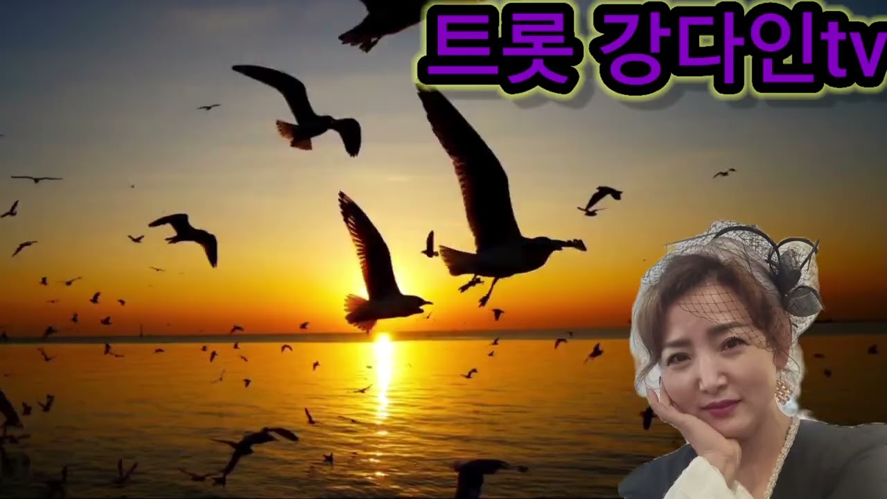 잔잔한 곡 업로드! 행복한 불금입니다♡#이름없는 새/#손현희#cover by 트롯 강다인#트롯 강다인tv 구독/좋아요♡